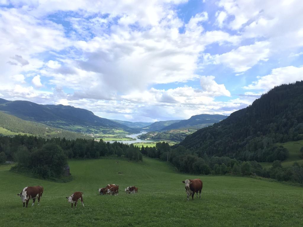 Kvitfjell Ranch Βίλα Εξωτερικό φωτογραφία